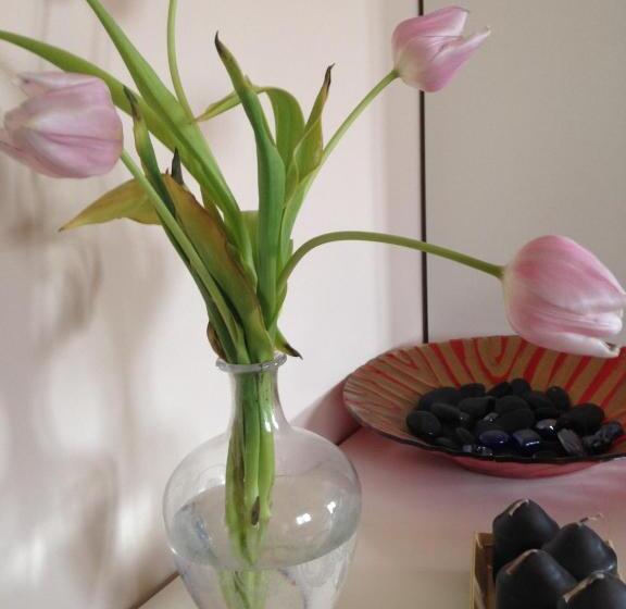 צימר Viamilano25