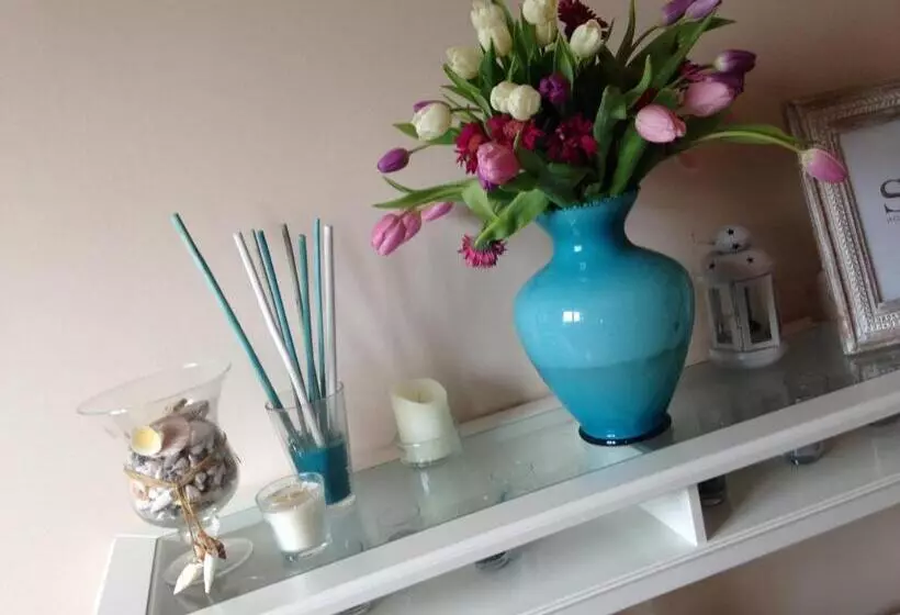 ベッドアンドブレックファースト Viamilano25