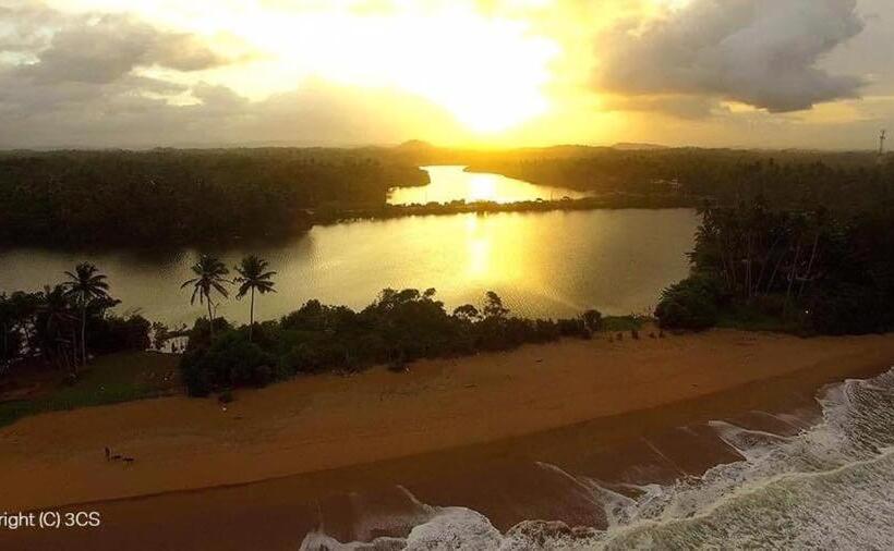 ホテル Turtle Paradise Villa