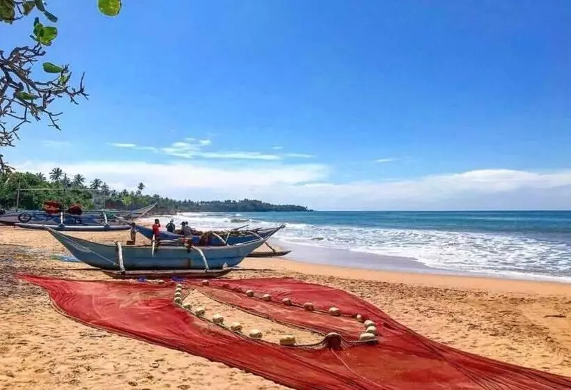 هتل Turtle Paradise Villa