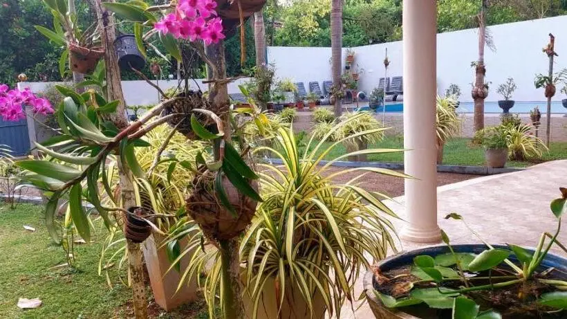 ホテル Turtle Paradise Villa