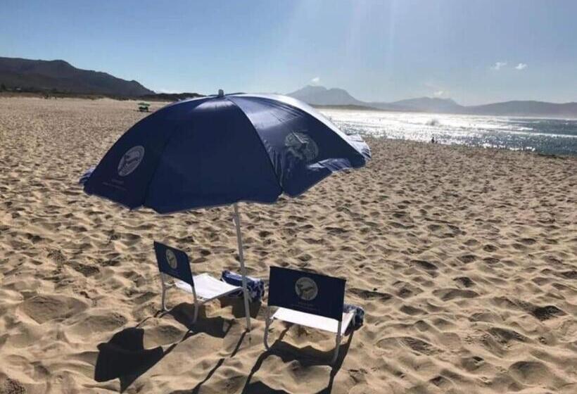 بنسيون Kleinmond Lodge