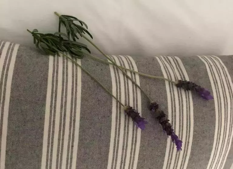 Majatalo Kleinmond Lodge