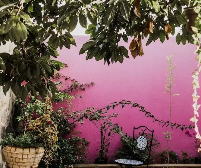 Tierra Soñada Hotel Boutique