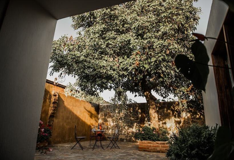 Tierra Soñada Hotel Boutique