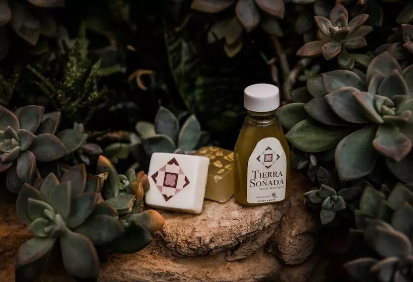 Tierra Soñada Hotel Boutique