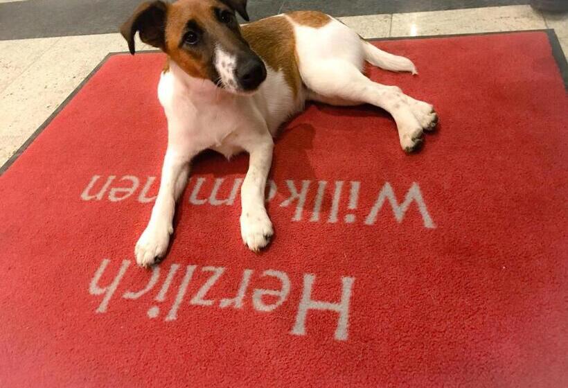 Donauhotel Ingolstadt