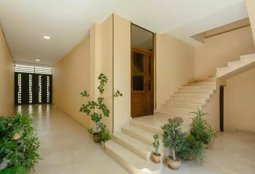 پانسیون Brick Walls