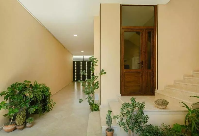 پانسیون Brick Walls