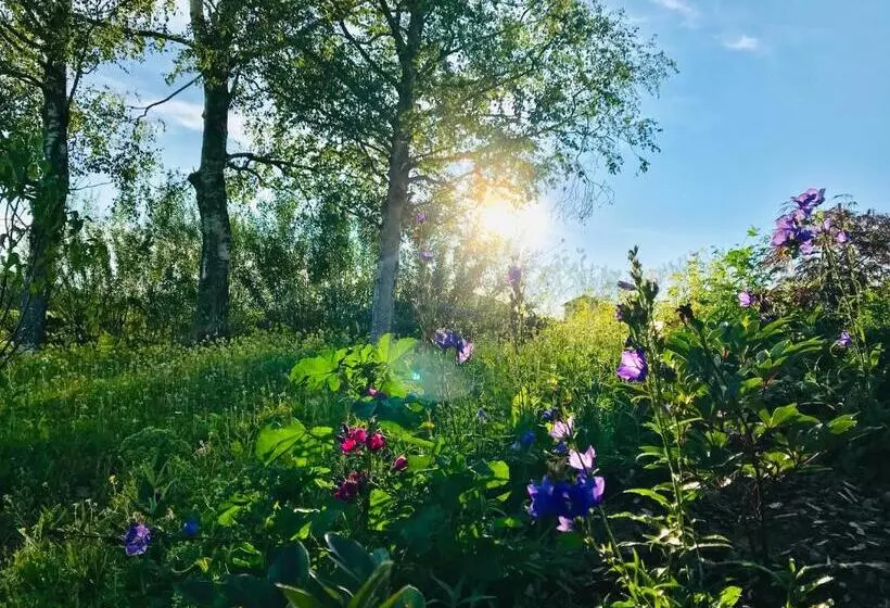 ホテル Alpenloge Design