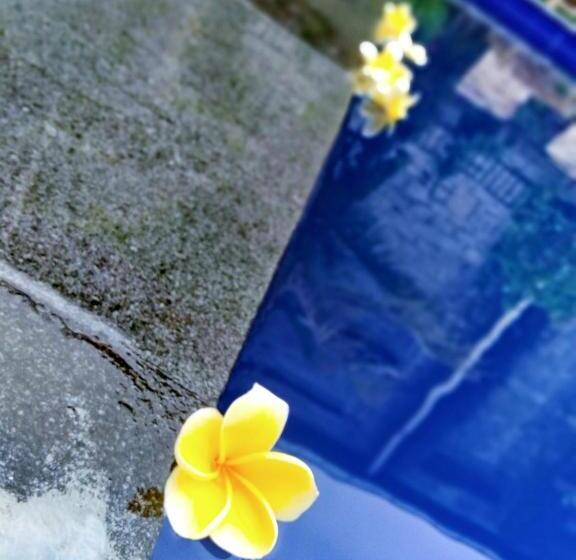 膳宿费 The Jepun Room And House