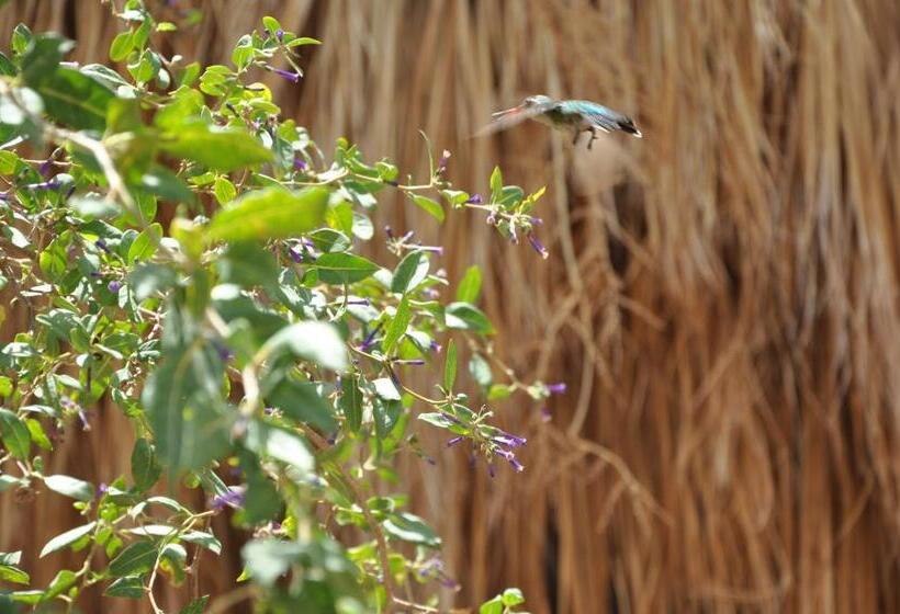 הוסטל Hospedaje Familiar Raza Mistica