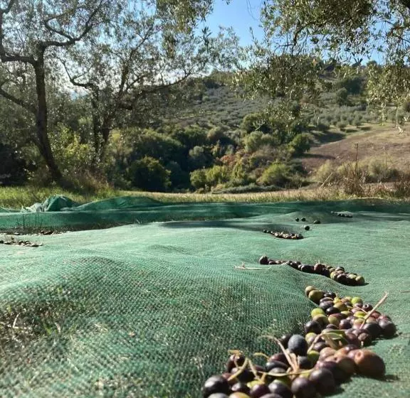 ホテル Agriturismo Portoreschi