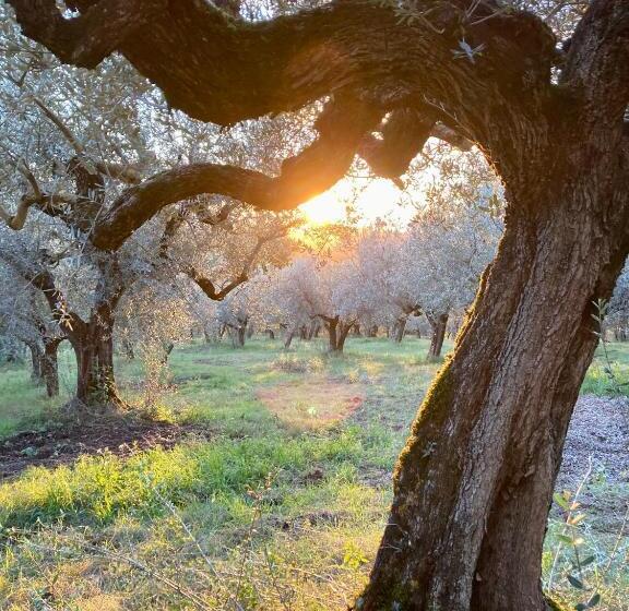 ホテル Agriturismo Portoreschi