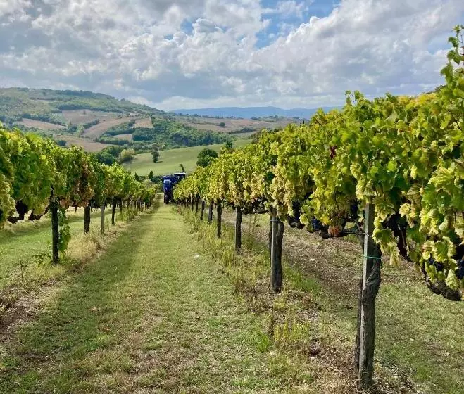 ホテル Agriturismo Portoreschi