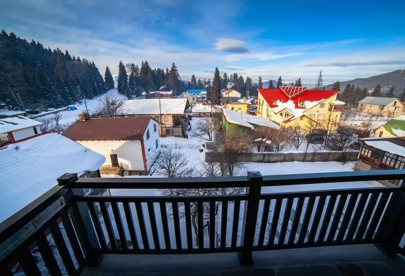 هتل Amiran S Park