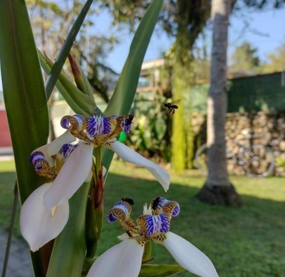 پانسیون Vale Do Pontal Angra