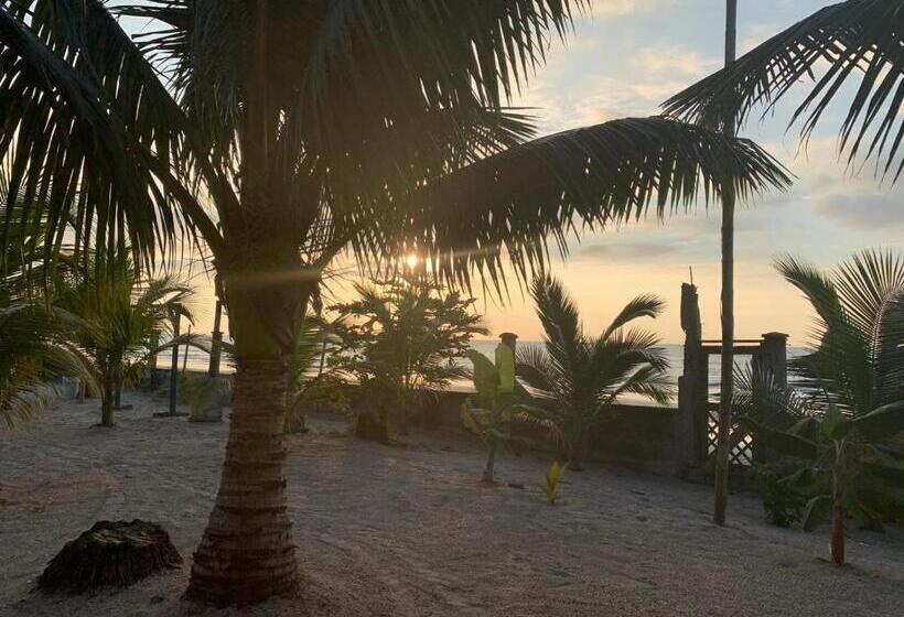 فندق Hostal La Tolita