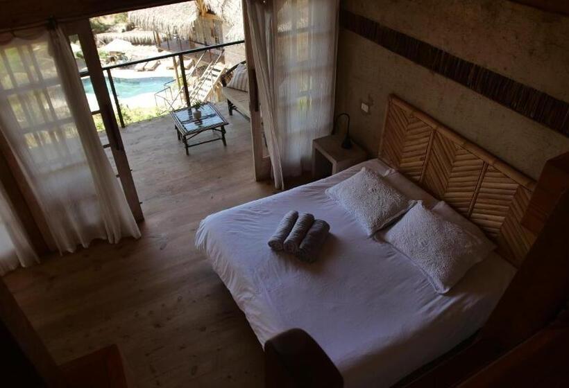 Bed & Breakfast Amai Luna