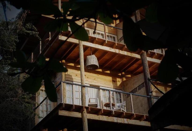 Bed & Breakfast Amai Luna