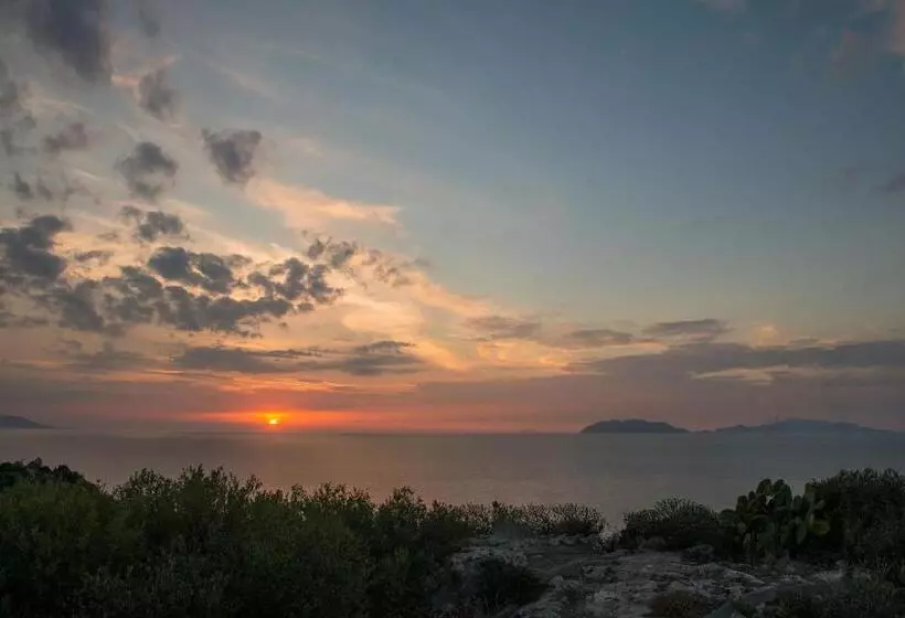 Aamiaismajoitus (B&B) Manzoni Elements