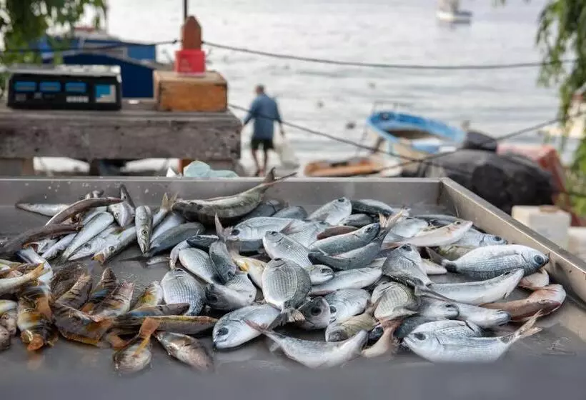 Aamiaismajoitus (B&B) Manzoni Elements