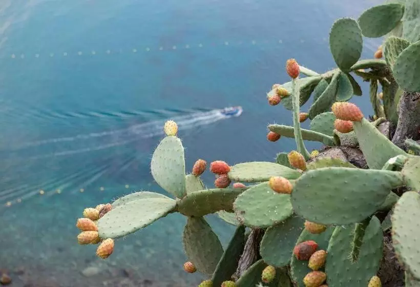 Aamiaismajoitus (B&B) Manzoni Elements