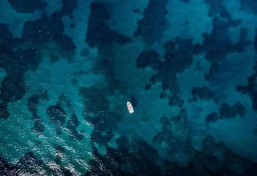 Aamiaismajoitus (B&B) Manzoni Elements