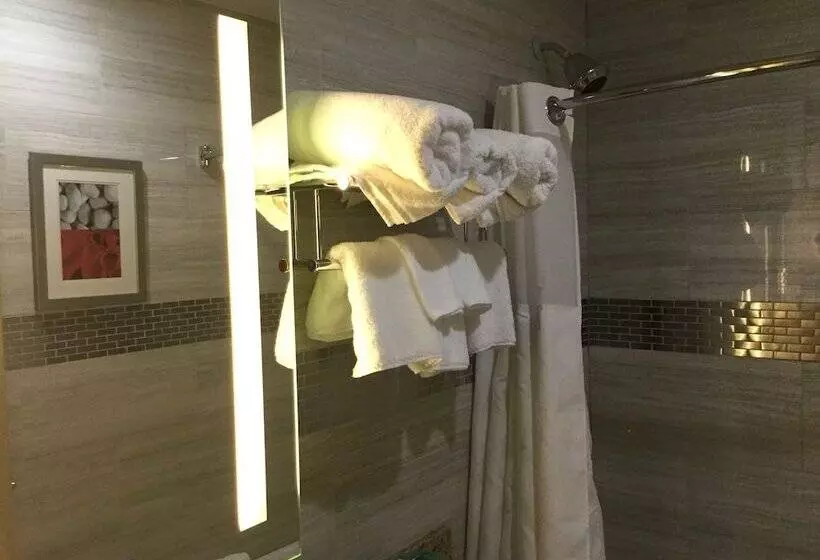 هتل Ramada By Wyndham Bronx Terminal