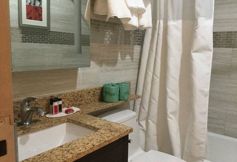 Hotel Ramada By Wyndham Bronx Terminal