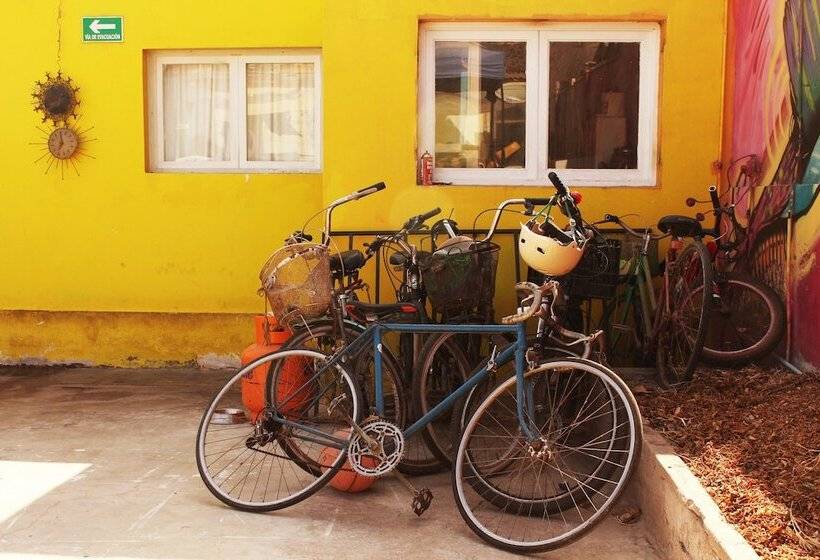 Hostel La Posada De Gallo