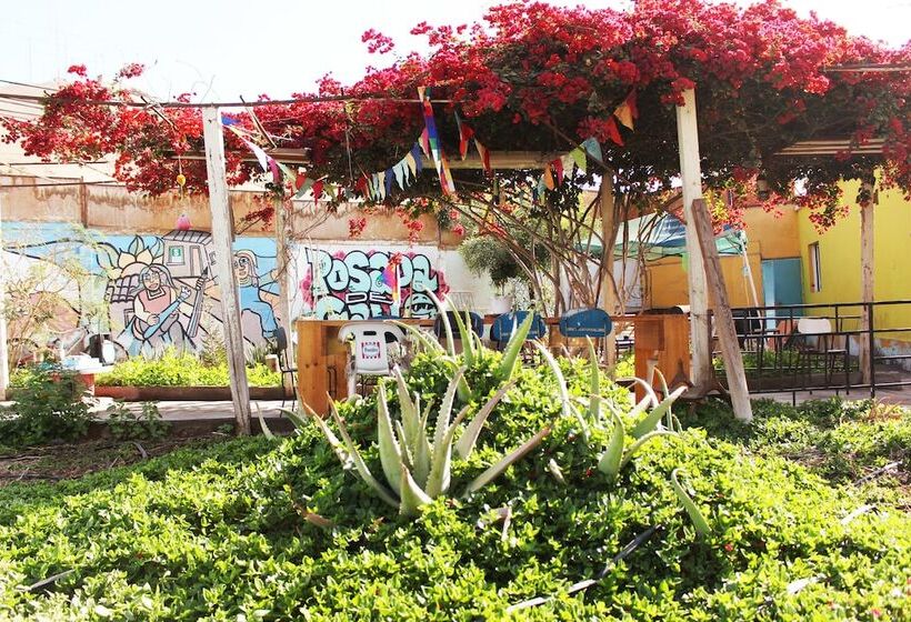 Hostel La Posada De Gallo