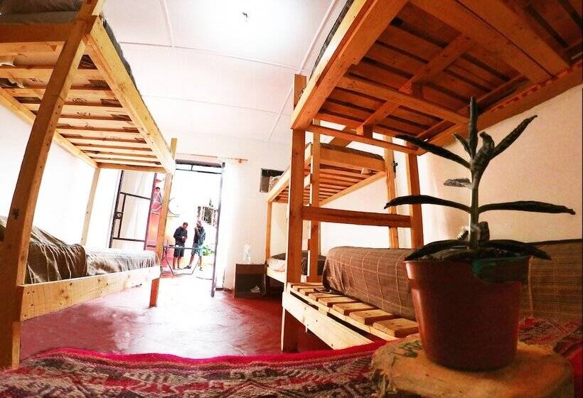 Hostel La Posada De Gallo