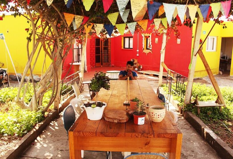 Hostel La Posada De Gallo