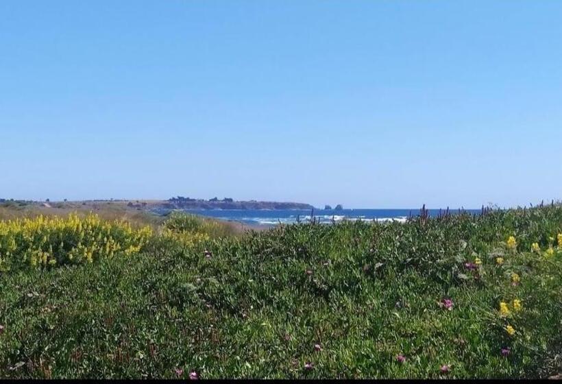 پانسیون Saldemar Playa Hermosa