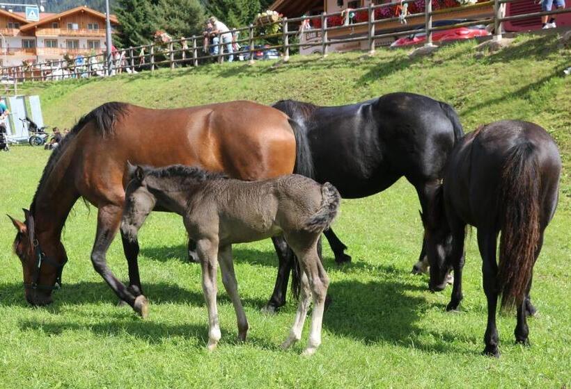 Отель Agriturismo Malga Piè