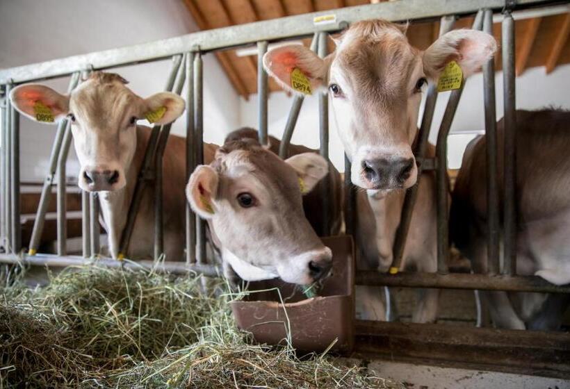 Отель Agriturismo Malga Piè