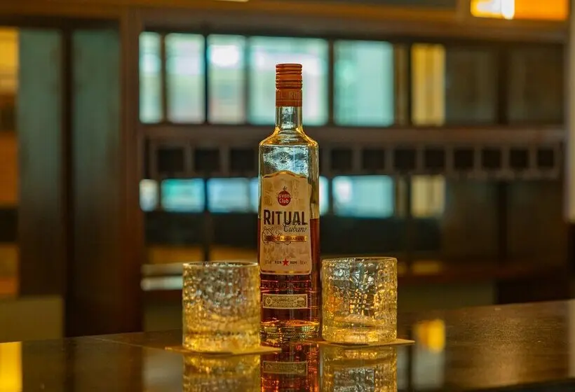 ホテル Domina Metrópolis