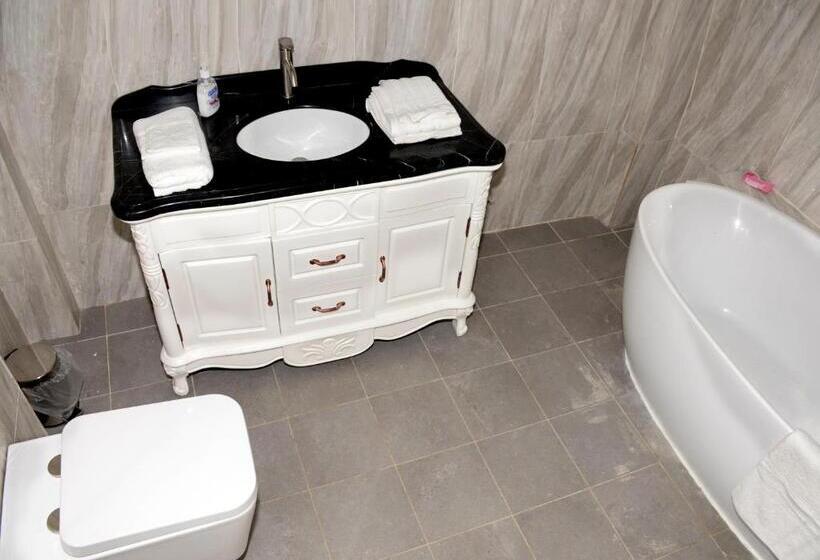 هتل Ambassadors Annexe