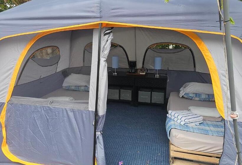 ベッドアンドブレックファースト Sweet Dreams