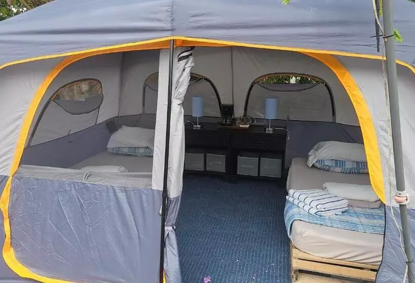 ベッドアンドブレックファースト Sweet Dreams