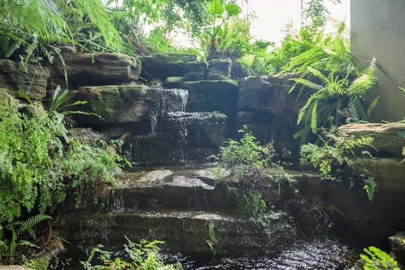 تختخواب و صبحانه 五柳園休閒農場 嘉義市民宿001號