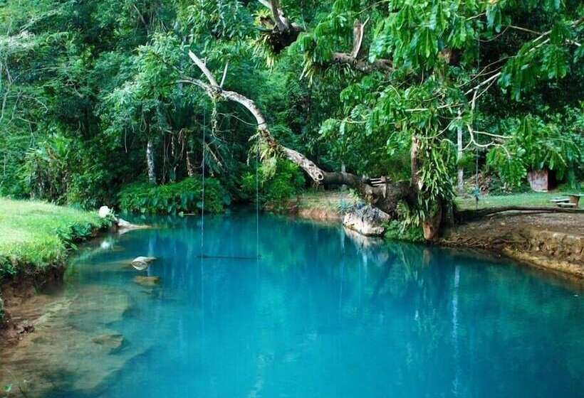 فندق Faraway Suites