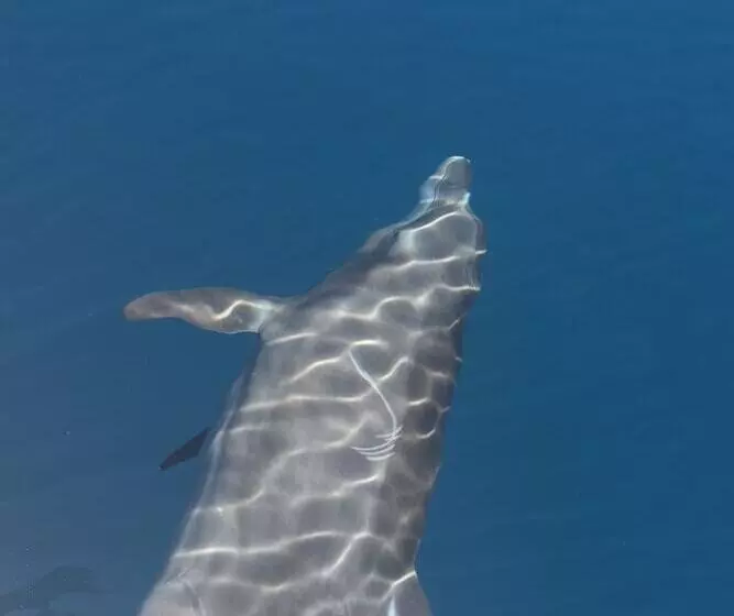 Hotelli Hoja De Oro Corcovado