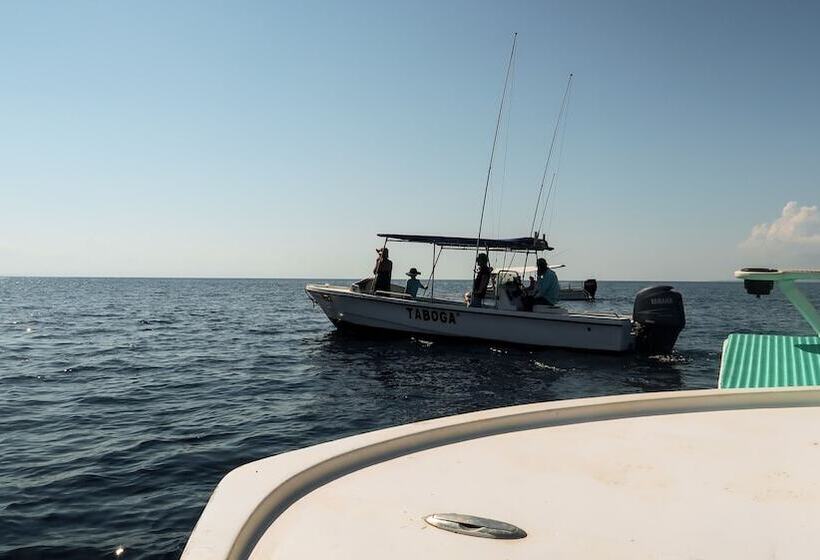 Hotel Hoja De Oro Corcovado