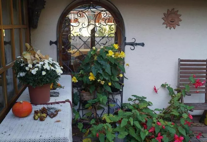 Pension Schüler