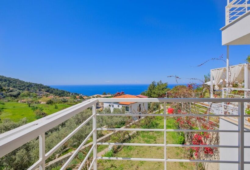 Highclere Hotel And Spa