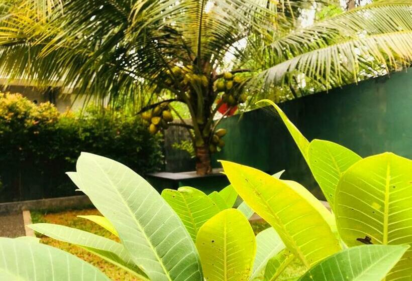 Bed and Breakfast Villa Seagull