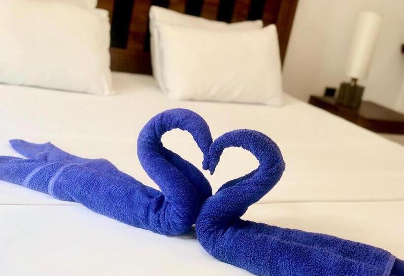 ベッドアンドブレックファースト Villa Seagull