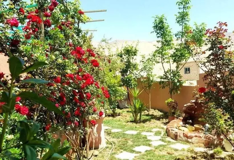 پانسیون Bedouin Garden House